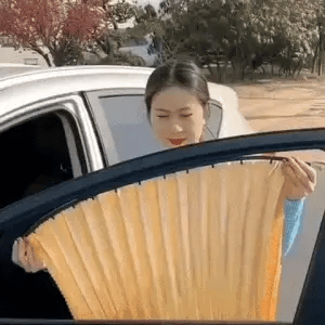 Premium Magnetic Car Curtains – Set of 4 for All Windows!